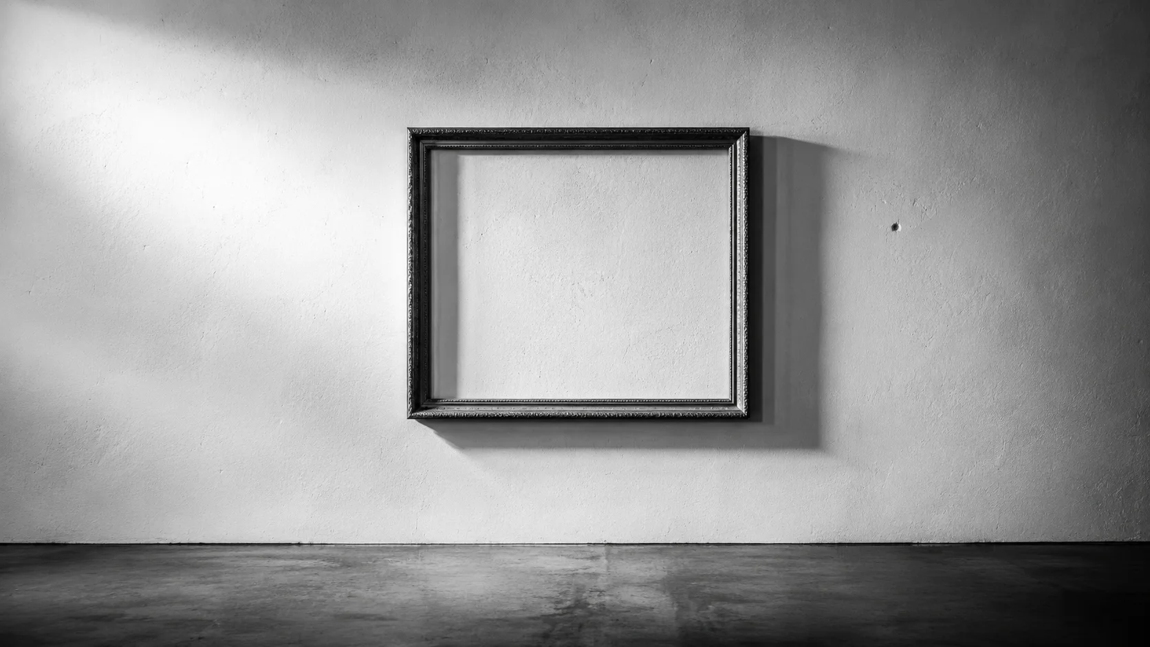 A single empty picture frame hung on a bare gallery wall, deliberately left blank.